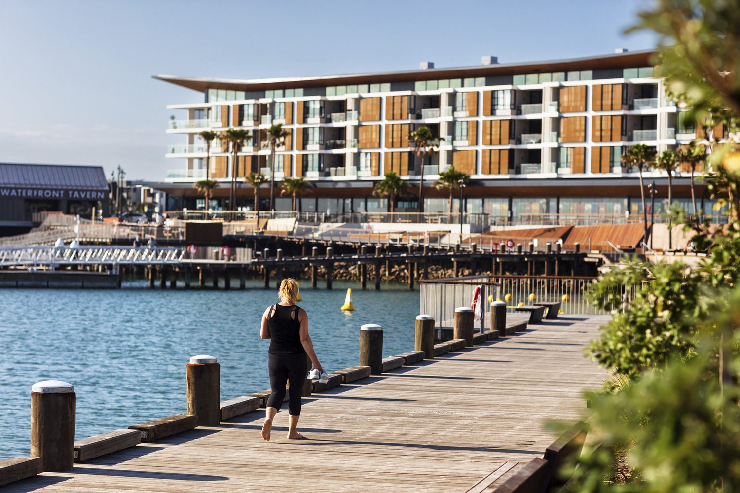 shell cove